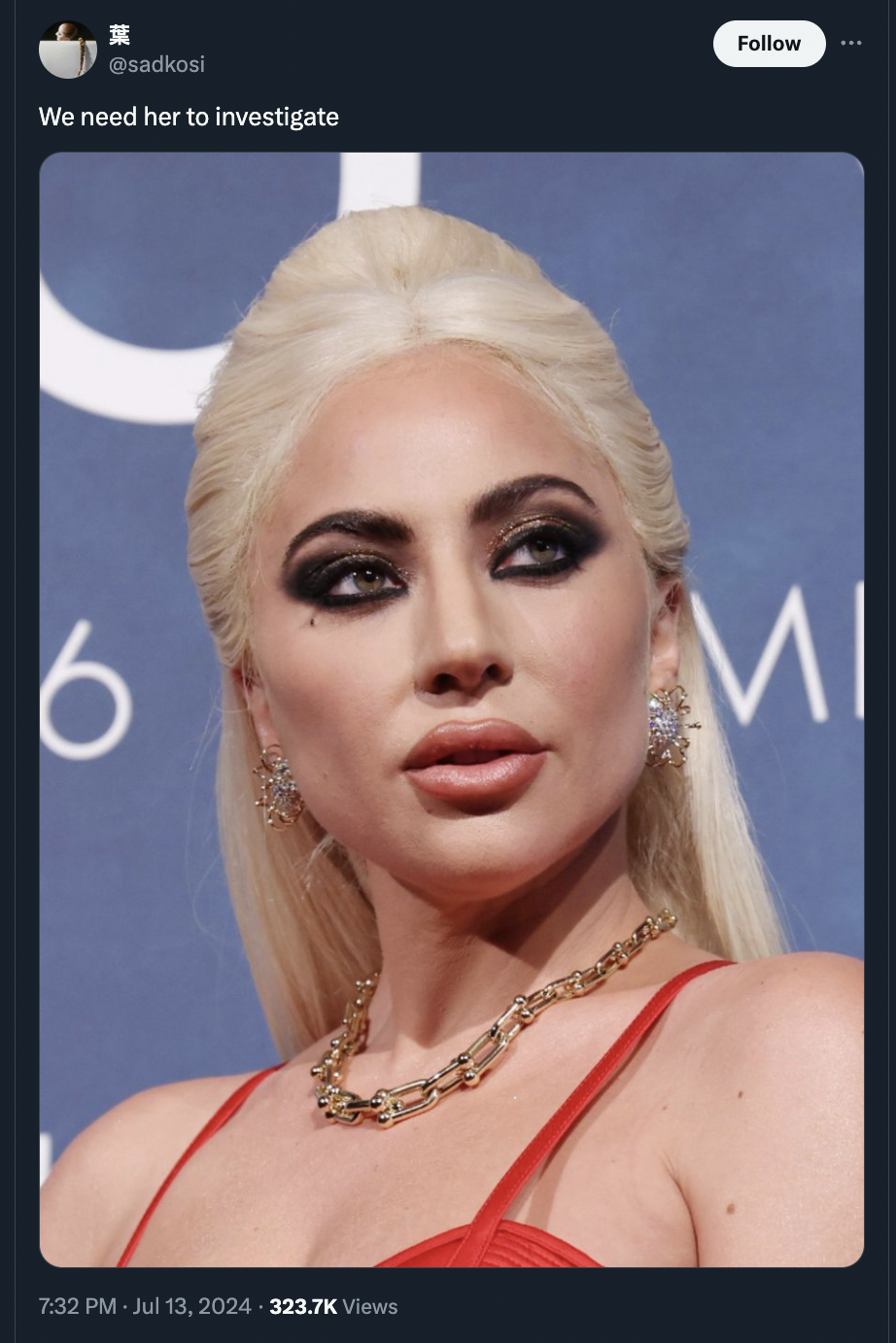 lady gaga investigate - We need her to investigate 6 Views Mi